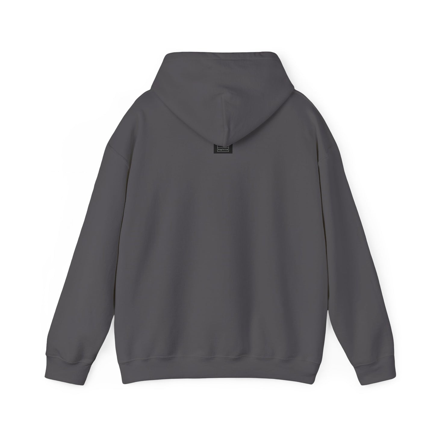 "Public Warning Christians on the move" Hooded Sweatshirt